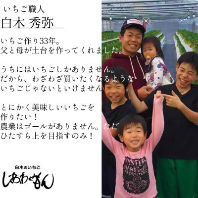 ふるさと納税 小郡市 いちご職人 白木のいちご 「あまおう化粧箱」1箱と「旬のいちご化粧箱」1箱　2種食べ比べセット