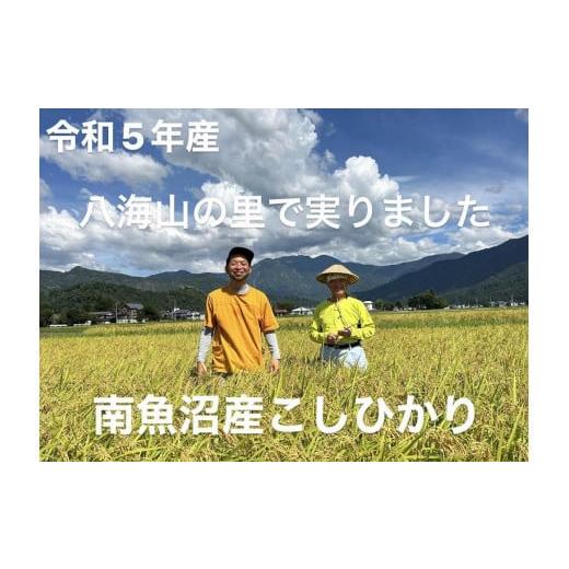 ふるさと納税 新潟県 南魚沼市 新米です！南魚沼産こしひかり＜定期便＞5kgx6回（月1回）栽培期間中農薬・化学肥料不使用の米　八海山の里で実りました。