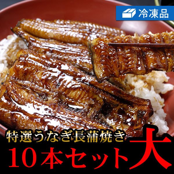 冷凍特選うなぎ長蒲焼き大10本セット