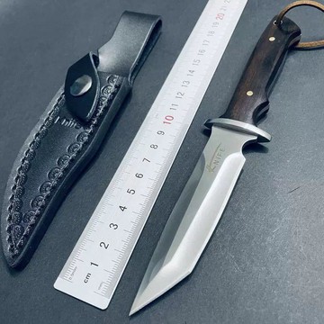 ⭐全場免運⭐戶外直刀戰術隨身高硬度鋒利求生荒野一體野營防身刀具小刀水果刀