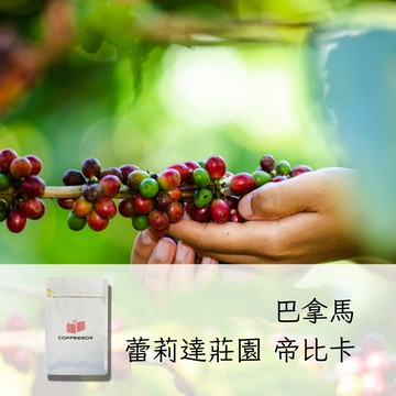 巴拿馬 蕾莉達莊園 帝比卡 水洗 中淺焙 (半磅)【柏克斯咖啡】