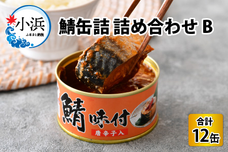 鯖缶詰12缶詰め合わせB 180g × 12缶 [B-003032]