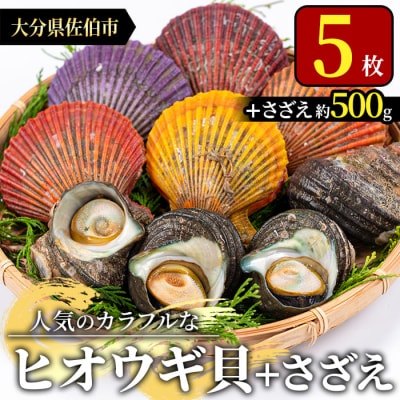 ヒオウギ貝 (5枚)とサザエ (約500g)