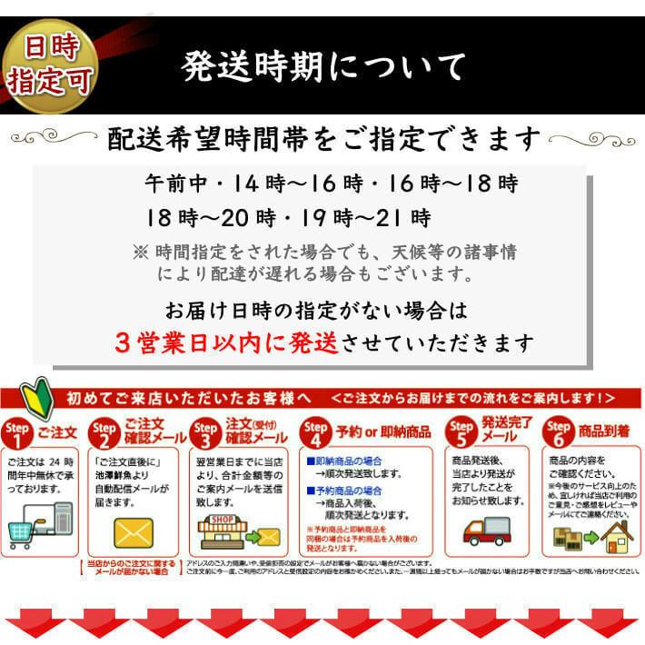 高知県産 うなぎ 蒲焼き 国産 5尾 完全無投薬 仁淀川 誕生日 ギフト 贈答