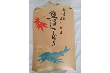 魚沼産しおざわコシヒカリ玄米2０kg