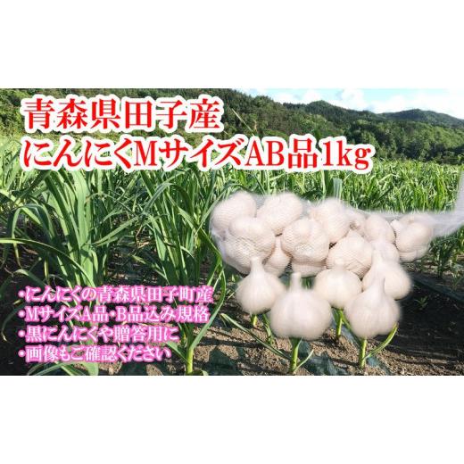 ふるさと納税 青森県 田子町 田子産にんにく約1kg（MサイズA〜B品）