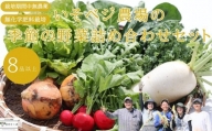 いそベジ農場の季節の野菜詰め合わせセット〔IV-01〕