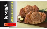 三陸産！活毛ガニセット(400g×2杯(2尾))　天然 国産 冷蔵 三陸  濃厚 かに 蟹 カニ 毛ガニ 毛蟹 毛がに