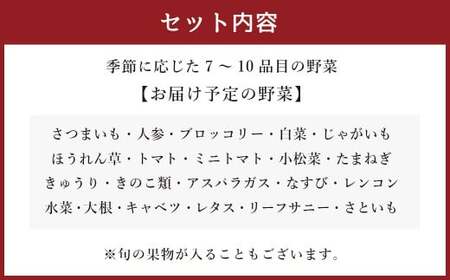 生産者応援 採れたて新鮮 旬のお野菜 詰め合わせセット