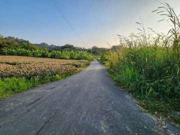 地主降價~大社休閒地大坪數｜高雄市大社區水哮段
