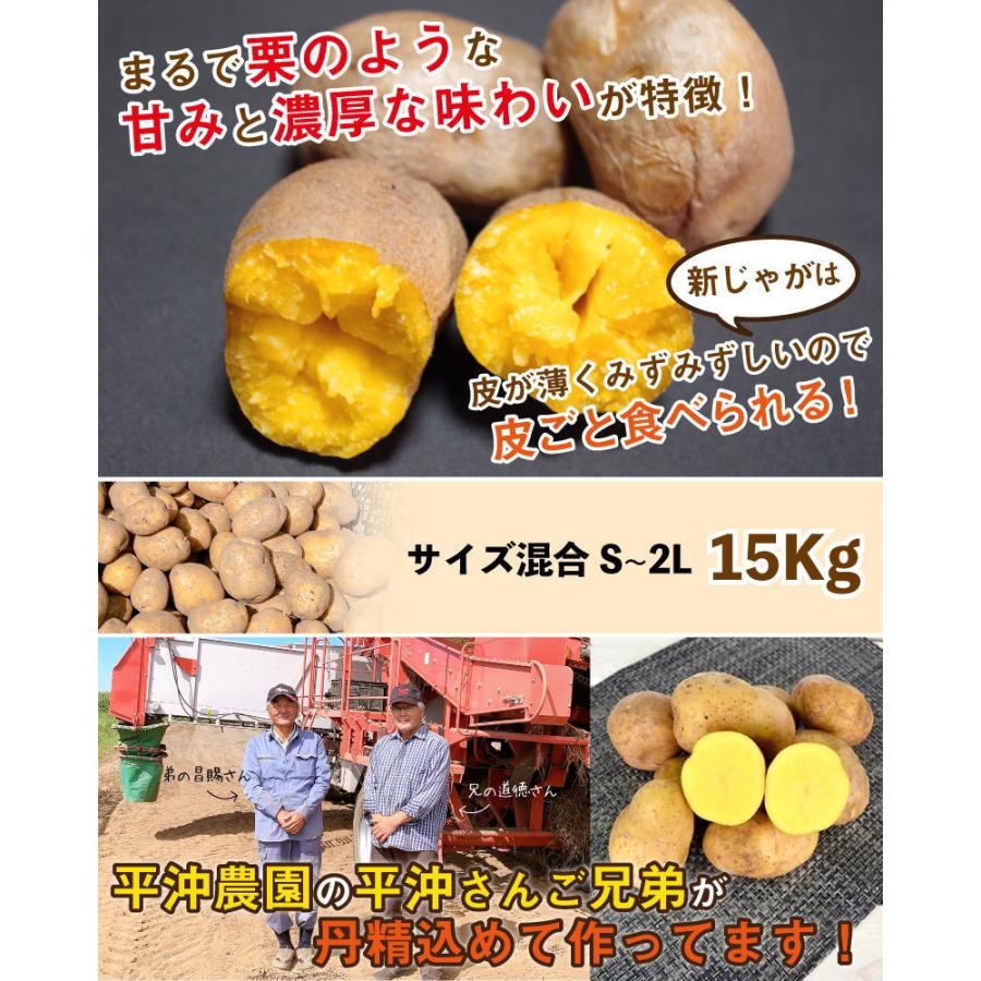 インカのめざめ 新じゃが 15kg  S〜2Lサイズ混合 北海道 千歳産 じゃがいも ジャガイモ 送料無料 訳あり