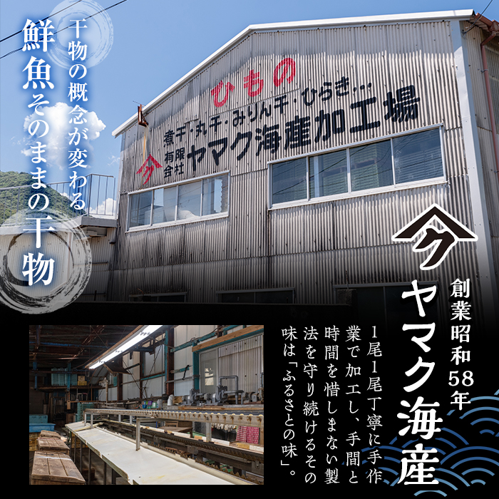 職人厳選干物セット (約7種) 干物 あじ 鯵 さば 鯖 丸干し みりん干し 開き 魚 海鮮 冷凍 詰め合わせ セット 大分県 佐伯市 