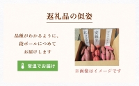 富山県産さつまいも（安納芋、紅はるか、シルクスイート）約5kg詰め合わせセット