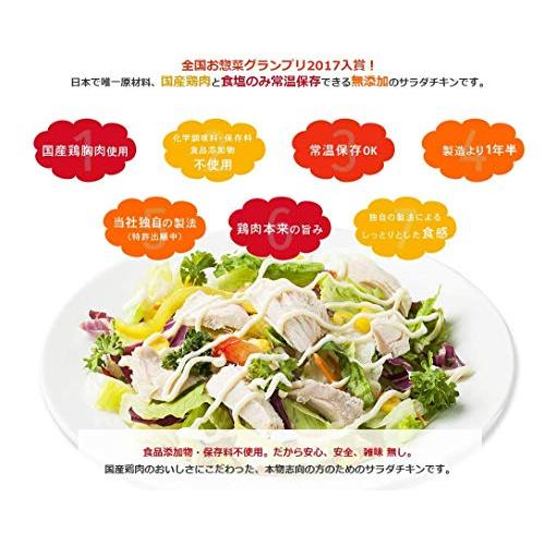 内野家 uchipac 長ネギ＆生姜味 高たんぱく質 無添加サラダチキン 10食セット プロテインの代替品や非常食