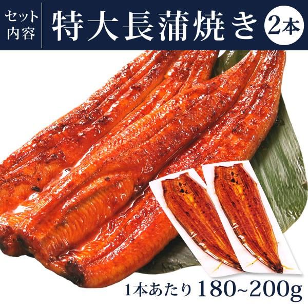 お歳暮 ギフト 2023 うなぎ 国産 プレゼント 土用の丑の日 蒲焼き 食べ物 誕生日 お祝い 送料無料 ウナギ 鰻 お年賀 御歳暮 御年賀 化粧箱 Iset 2〜3人用 AA