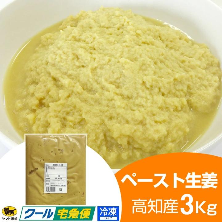 冷凍 ペースト生姜 1kg×3 高知県産 一次加工品