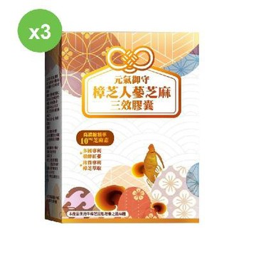 【YAYU Biomed 雅譽生醫】樟芝人蔘芝麻三效膠囊30顆/盒＊3盒