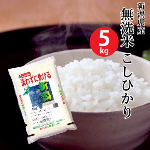 無洗米新潟県産こしひかり 5kg