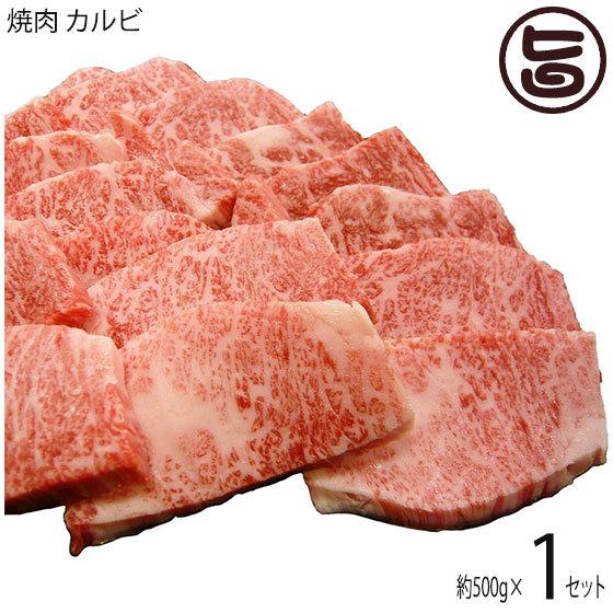 ギフト 神戸ビーフ 贈答用 焼肉 カルビ 500g 嶋本食品 手土産 贈り物