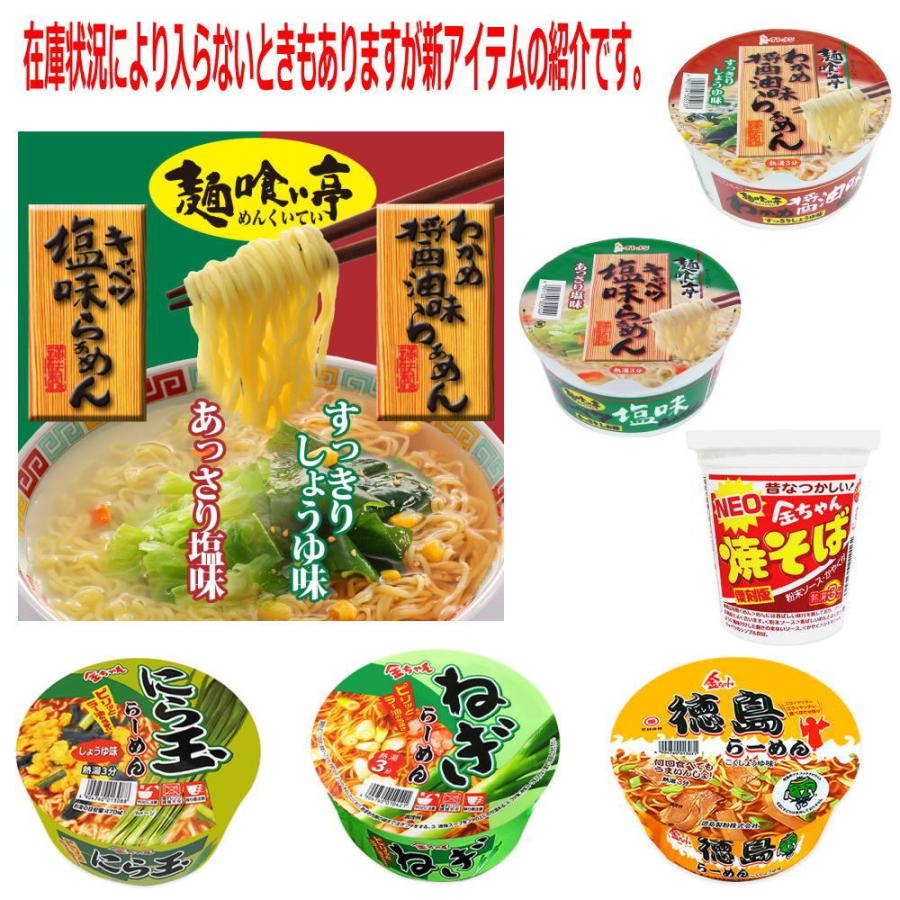 新着 新発売 レギュラーサイズ カップ麺 に ビッグサイズも入った 30種セット 関東圏送料無料