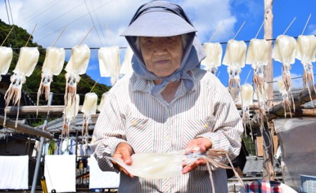 極厚スルメイカの一日干し 2枚