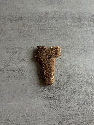 野生芽莊沉香老料S20(5.3克)