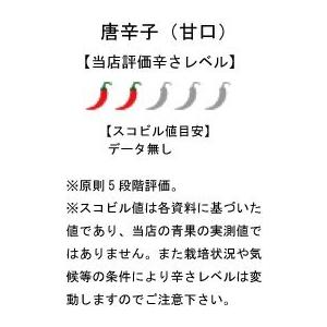 国産　生　青唐辛子　甘口　70g×5袋　冷凍品　千葉県産