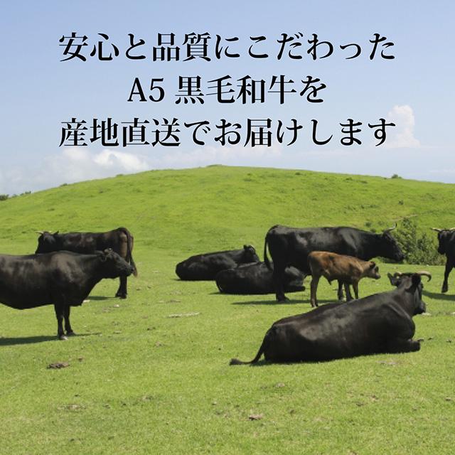 黒毛和牛 ステーキ サーロイン 200g×1枚 200g 1人前 A5 A4 ギフト 肉 牛肉 和牛 国産 サーロイン肉 食べ物 グルメ 出産祝い 結婚祝い BBQ バーベキュー