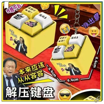 現貨王世堅語音 從從容容游刃有餘按鍵 沒出息發光鑰匙圈 解壓按鍵 瞧不上你按鍵 鍵盤語音 發聲發光鑰匙扣 解壓 解壓神器