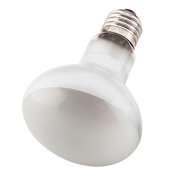 OTTO 建興水族 100W 爬蟲聚熱燈泡，Reptile Basking Spot Lamp，UVA光波，平均使用壽命約3500小時  日光  1個