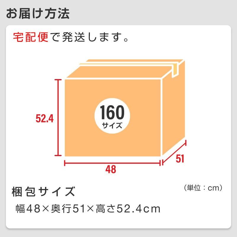 食器洗い乾燥機 食洗機 工事不要 設置 卓上 タンク式 食器洗浄機 食器