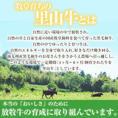 ふるさと納税 志布志市 南九州産牧草育ちの里山牛 ホルモンミックス計600g(200g×3パック)