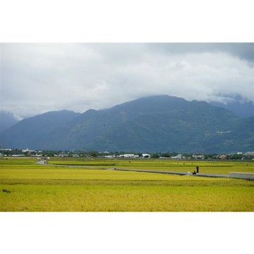 台東旅遊｜金牌農村.池上萬安.水凸在.鹿野高台.知本森林三日｜大人囝仔_26TETNNWAA