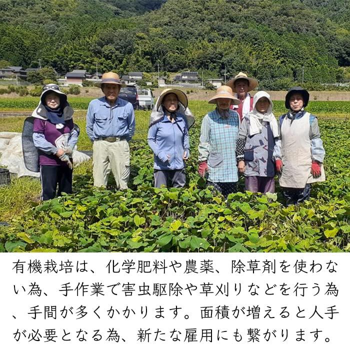 京都産 オーガニック さつま芋 ｜京都 さつまいも サツマイモ 農業生産法人 健康ファーム (SSサイズ 15kg（