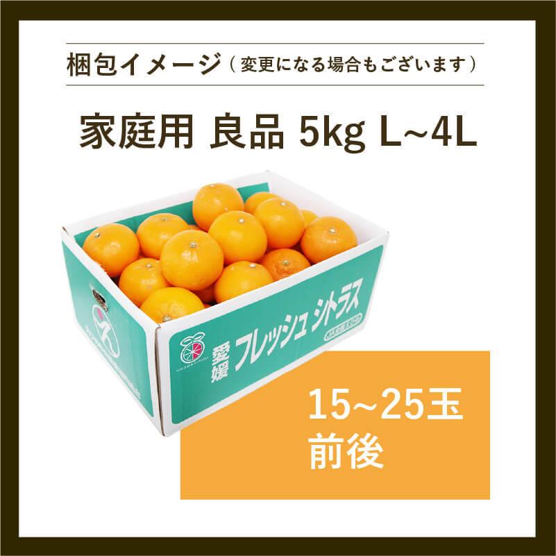 せとか 家庭用 良品 5kg L~4Lサイズ 送料無料 愛媛県産 産地直送 ミカン 高級柑橘 2023 ギフト グルメ 予約商品