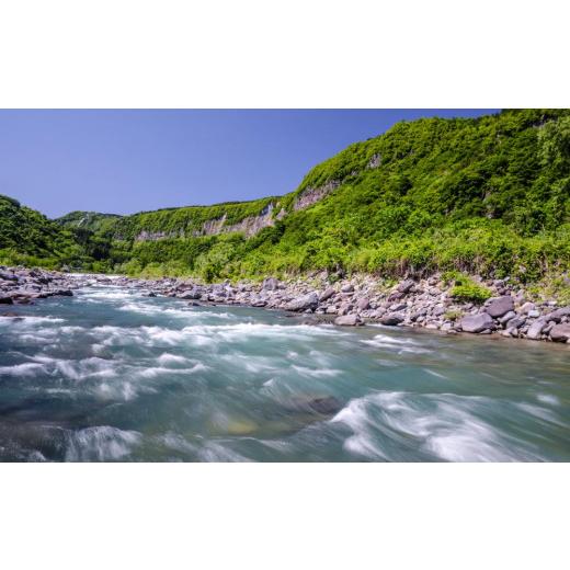 ふるさと納税 新潟県 津南町 定期便20kg×3回 県認証 魚沼産新之助