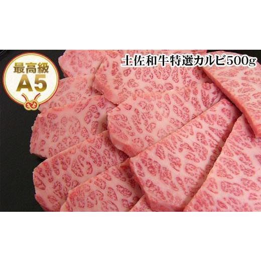 ふるさと納税 高知県 高知市 土佐和牛特選カルビ焼肉約500g 最高級A5 牛肉