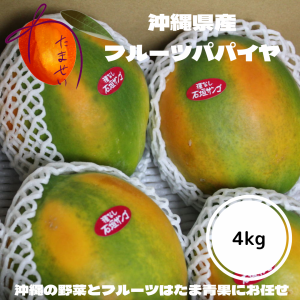 沖縄産 フルーツパパイヤ 約4ｋｇ（4~8個前後）  