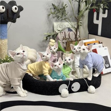 無毛貓衣服冬季四腳打底德絨陽離子發熱手感柔軟斯芬克斯貓衣服