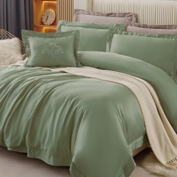 貝淇小舖 100支頂級尊爵素色天絲銀離子 棉被寢具5件組  床包 + 兩用被 + 抱枕 + 枕套 2個  Queen Size  迷霧綠