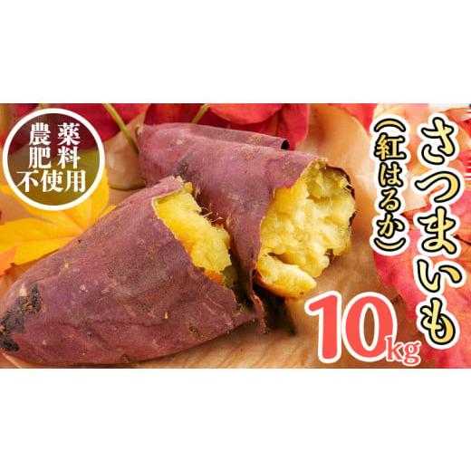 ふるさと納税 茨城県 つくばみらい市 さつまいも 紅はるか ） 10kg  土つき オーガニック 無農薬 高糖度 肥料不使用 自然栽培 スイー…