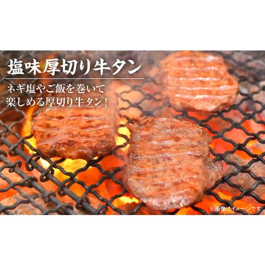 ふるさと納税 熊本県 八代市  牛タン 食べ比べ ２種セット 合計1kg 塩味