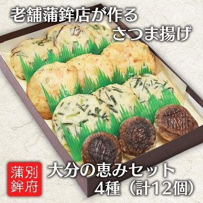 ふるさと納税 日出町 さつま揚げ(天ぷら) 大分の恵みセット 4種 12個入り