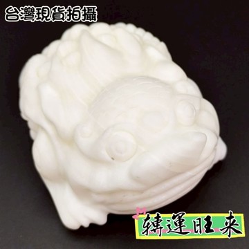 【台灣現貨】深海貝殼 車渠 硨磲 蟾蜍 硨磲 轉運旺旺來 開運 招財 淨化  擺件 天然 招人緣 桃花 礦石 靈招