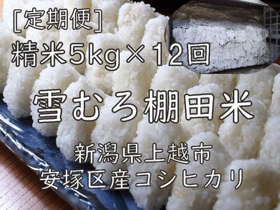 雪むろ棚田米コシヒカリ5kg精白米[定期便]毎月発送(計12回)