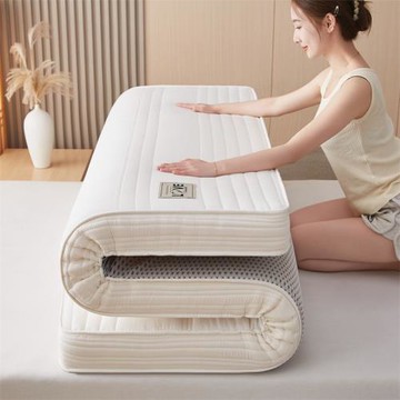 床墊不塌陷酒店民宿家用宿舍學生加厚榻榻米軟墊記憶棉海綿床墊