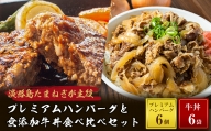 プレミアムハンバーグとたまねぎ牛丼 食べ比べセット