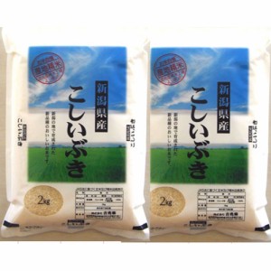 送料無料 新潟 雪蔵仕込 新潟 こしいぶき 2kg×2   お米 お取り寄せ グルメ 食品 ギフト プレゼント おすすめ お歳暮