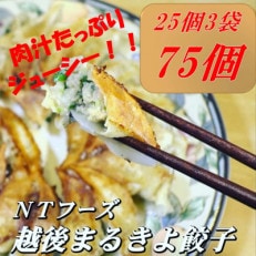 越後まるきよ餃子　3袋セット