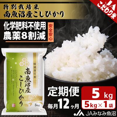 ふるさと納税 南魚沼市 特別栽培米南魚沼産こしひかり8割減 精米 5kg全12回